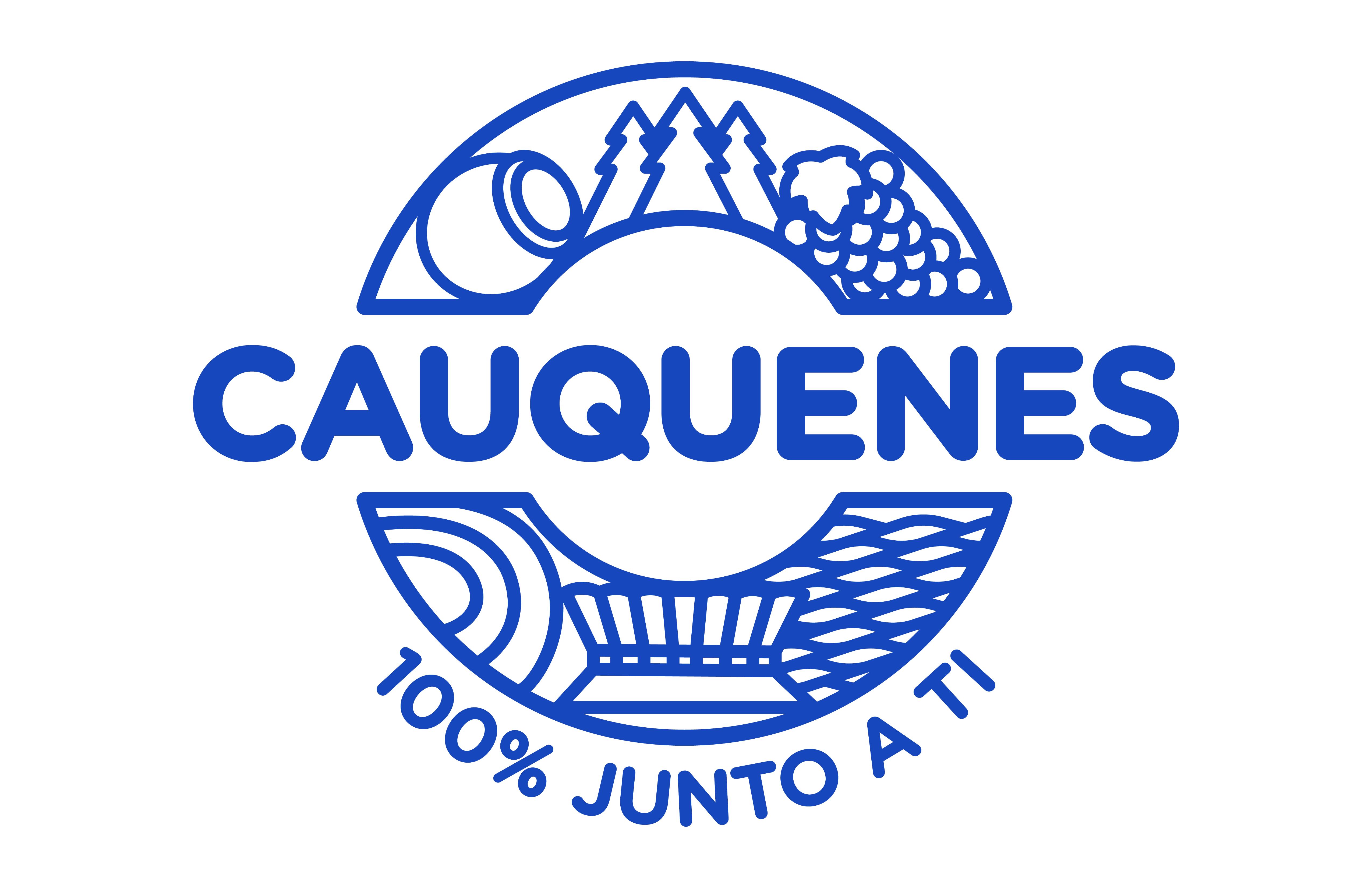 Cauquenes 100% junto a ti