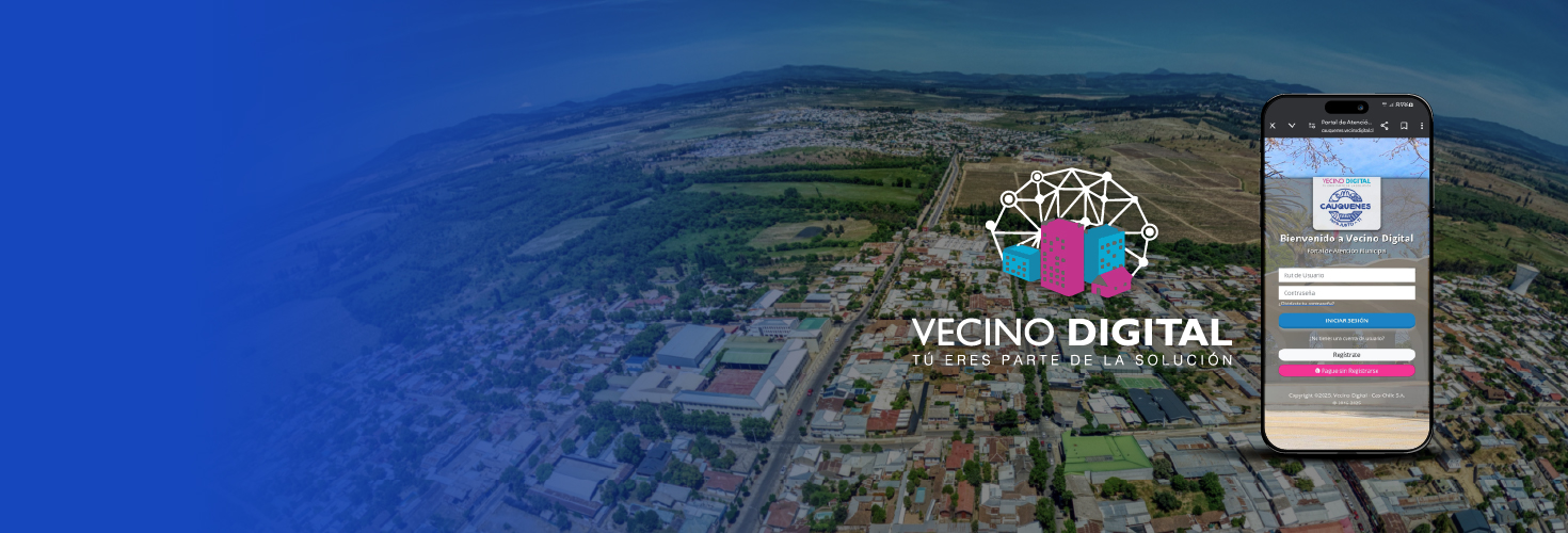 -Permiso de circulación, patentes comerciales y derechos de aseo domiciliario.